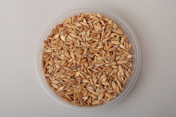 Whole Grain Horse Feed Products Star Milling Co.