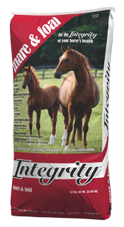 Integrity Mare & Foal
