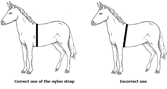 Mule Weight