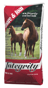 Integrity Mare and Foal